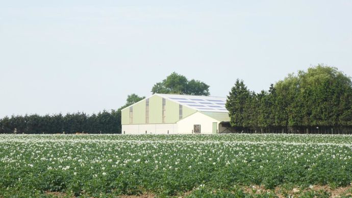 Leader mondial de la production de légumes industriels surgelés, les légumes sont un enjeu incontournable pour la distribution belge.